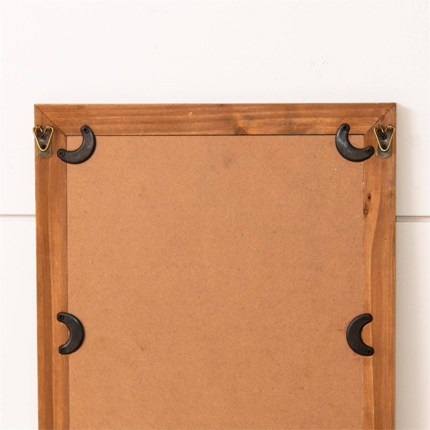 Framed Prints - Leaf Botany