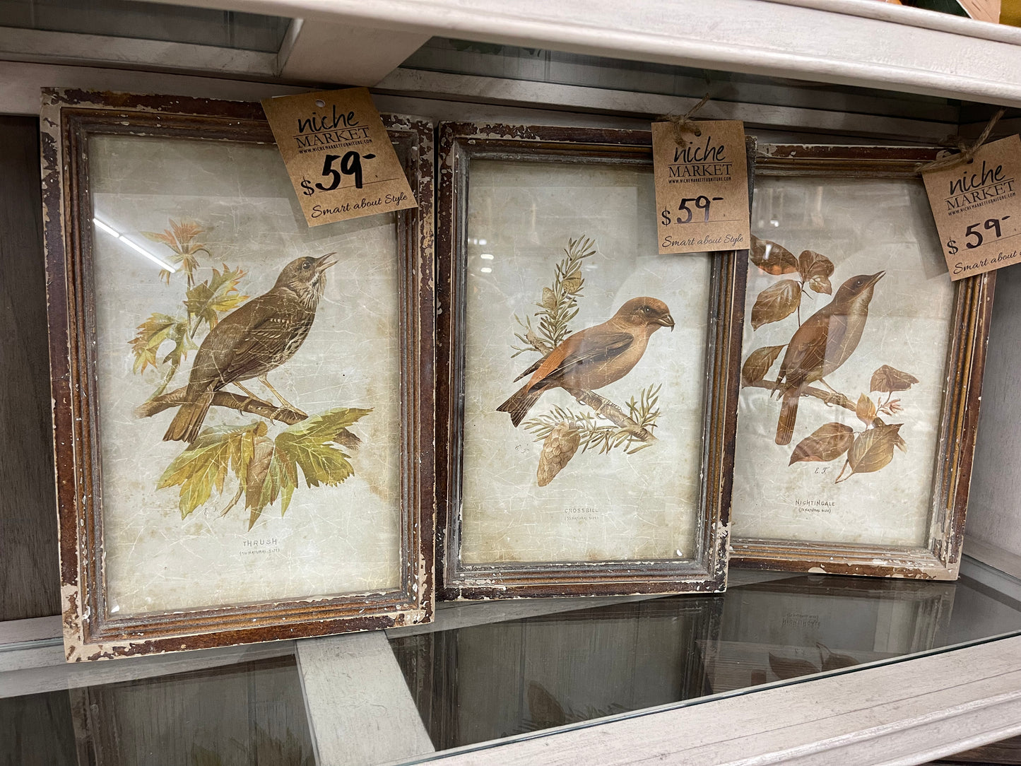 Bird Print