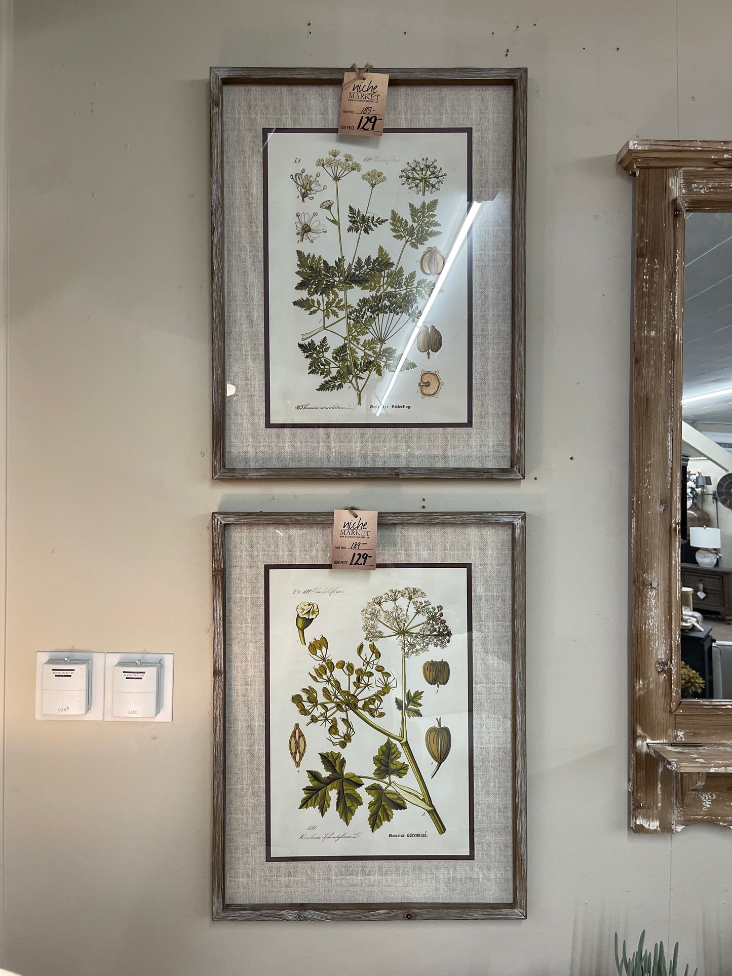 Botanical Green Print