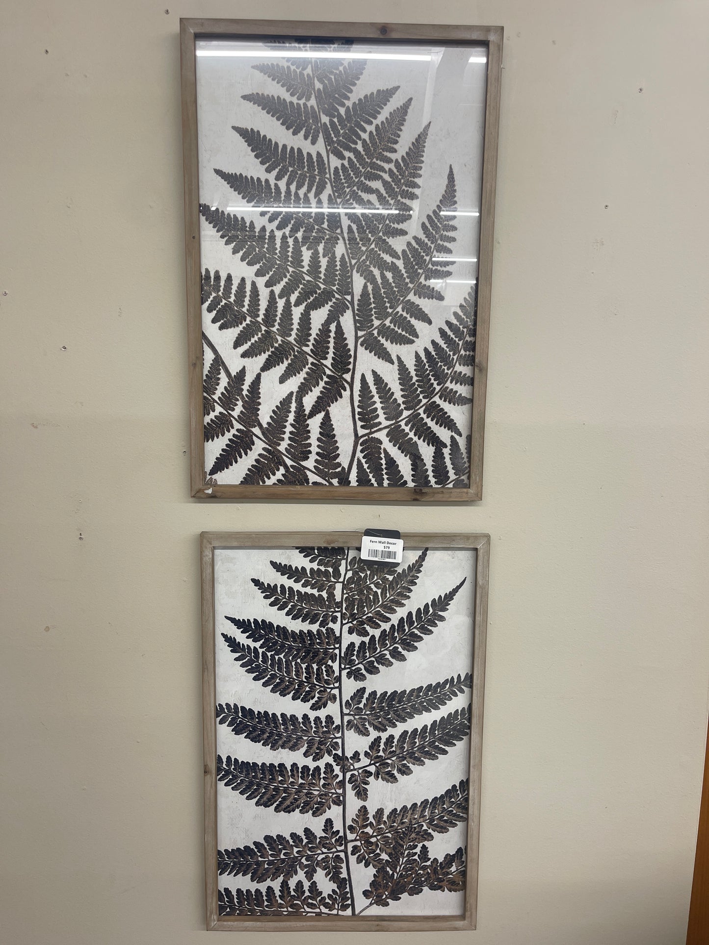Fern Wall Decor