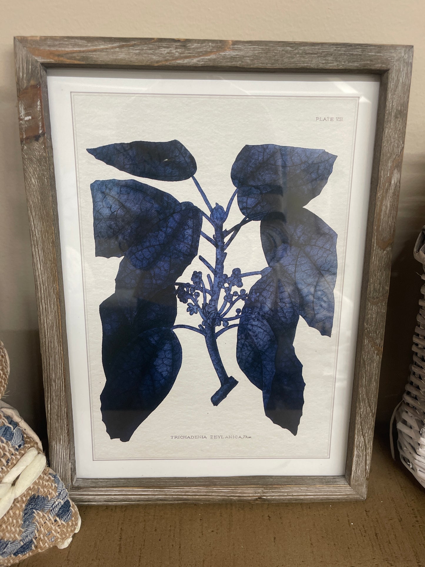 indigo botanical print