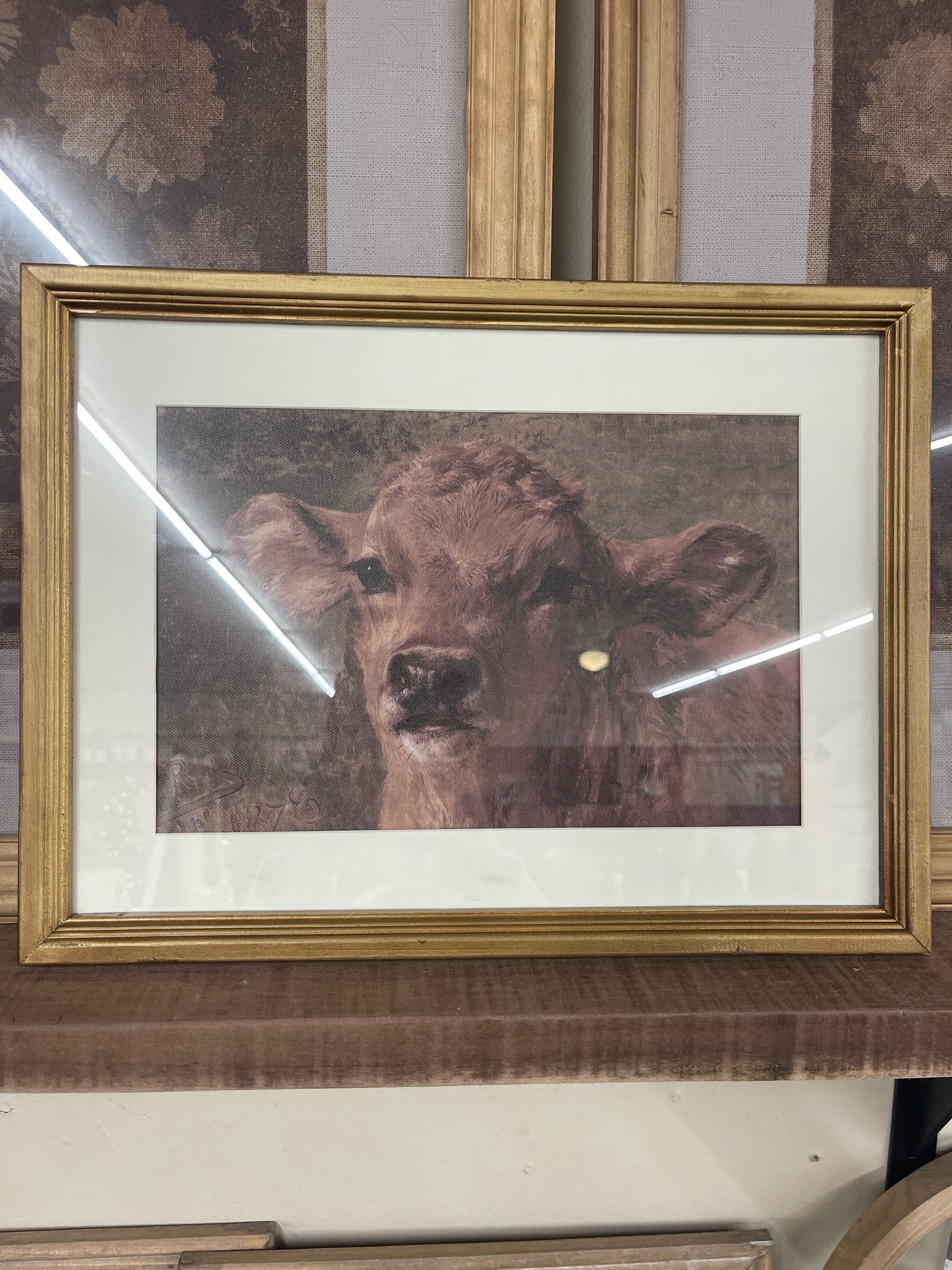 Brown Cow Canvas Art