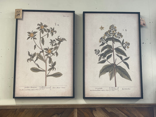 Grand Botanical Print