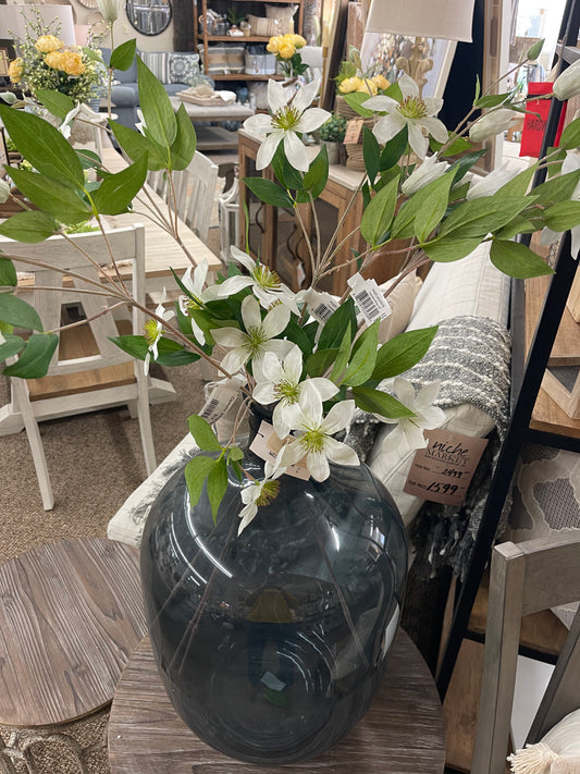 Clematis White Stem